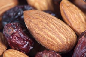 Food Almond Nut
