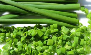 Chive Young Cabbage
