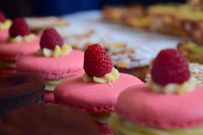 small cake with raspberries close-up on a blurred background