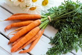 Vegetable Carrots and dandelions