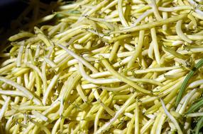 Farm Market Beans