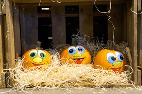 Colorful pumpkin decoration with faces in the nest