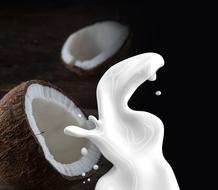perfect Coconut Milk