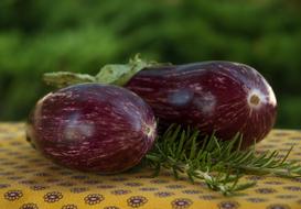 Eggplant Rosemary