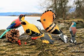 perfect Wooden Birds on tree trunk