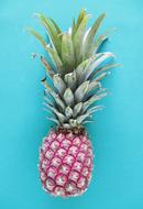 pink pineapple