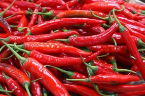 red Chili Pepper Market