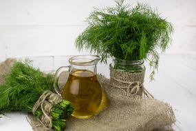 Food Spice or Cooking herbs