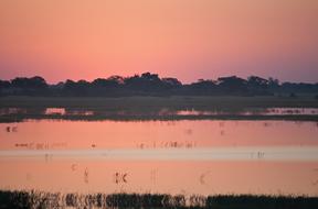 pink sunset reflected on the surface of the river