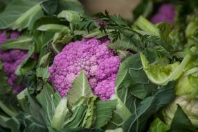 Cauliflower Vegetable