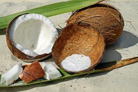 brown coconut shell with pulp