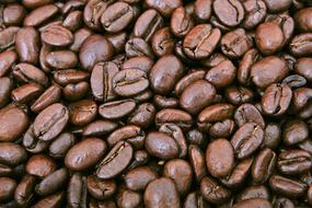 Coffee Flavor