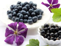 blueberries and black currants on plates