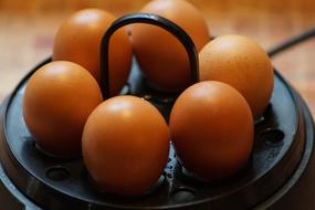 Eggs Cooked