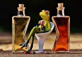 bottled olive oil and ceramic frog