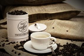 Coffee Beans and white Cup and bug