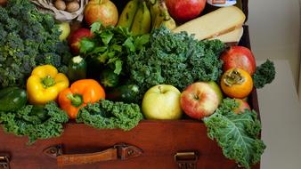 harvest of fresh vegetables in a suitcase