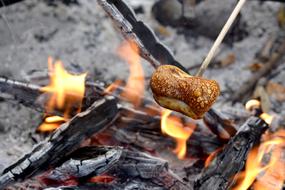 Fire Marshmallow food