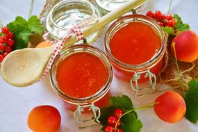 appetizing Jam Apricots