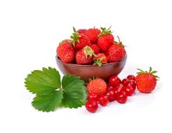 Strawberry and Cherry, red Berries at white background