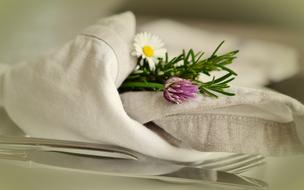 Napkin Cover flowers