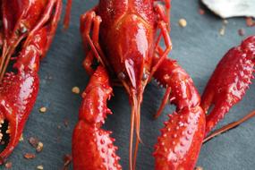 Boiled Crayfish red