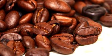 photo of coffee beans of chocolate color