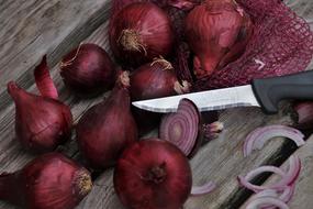 Onion Acute Slicing red