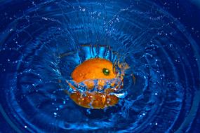 orange orange falls into the water