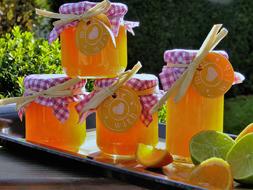 Orange and Lime Jam in jars on tray outdoor