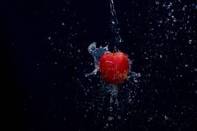 Apple Fruit Sparkling water
