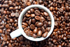 roasted coffee beans in a white cup