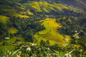 panorama of ethnic villages in Vietnam