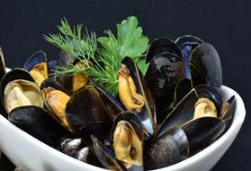 spicy mussels in a white bowl with herbs