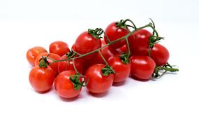 isolated truss of tomatoes