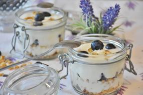 Yogurt Berries