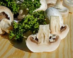 Mushrooms White and green herbs