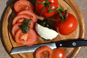 chopped tomatoes and mozzarella on a cutting board