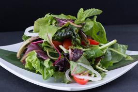 salad with tomatoes, onions and herbs