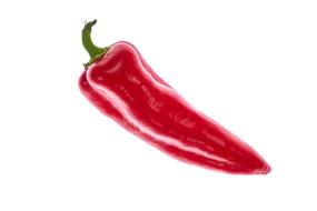brilliant photo of red chili pepper