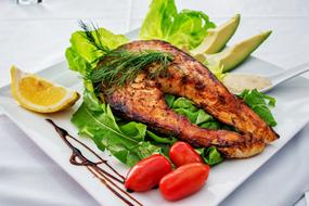 perfect Salmon Fish Grilled