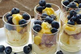 blueberry fruit yogurt dessert