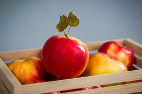 ripe red-yellow apples in a crate