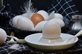 boiled eggs on the table for breakfast