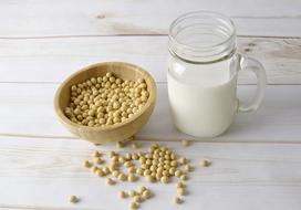fresh soy milk