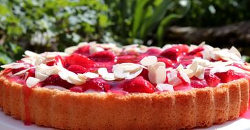 strawberry and almond pie at background with plants