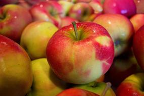 ripe Apples, Jonagold variety