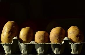 Potatoes in Egg box