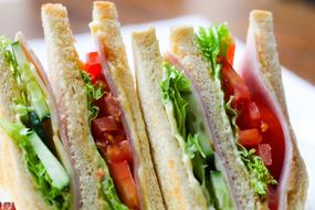 Sandwich Toast