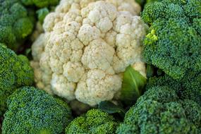 raw Cauliflower and Broccoli close up